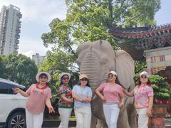 -华雅花园大酒店