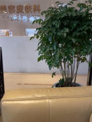 -四川娇点医学美容医院
