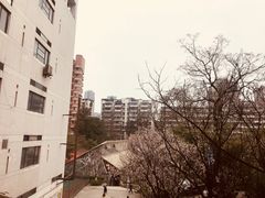 -黄桷坪涂鸦艺术街