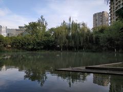 -四川广播电视台(世纪城路店)