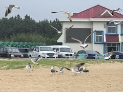 -海驴岛(荣成市)