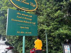 -Fern Forest Cafe