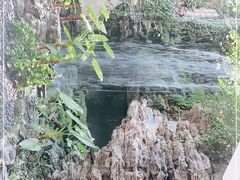 -白天鹅宾馆·流浮阁咖啡厅