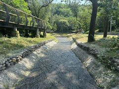 -白水寺森林公园