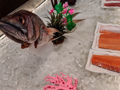-欢乐海岸美食联盟