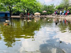 -森林公园(尖草坪区)