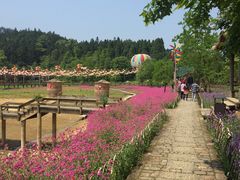 -千岛湖龙川湾