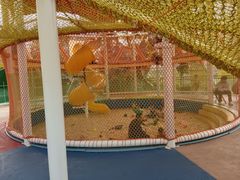 -凤岭儿童公园
