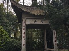 -亭林公园