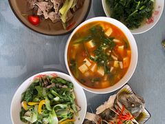 -上海交通大学医学院附属仁济医院(南院)