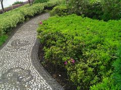 夏天来了-岳阳阿波罗御庭酒店