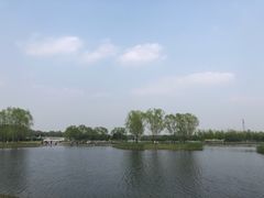 -大兴滨河森林公园