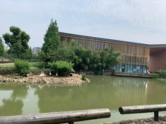 -田园东方蜜桃村的田野营地