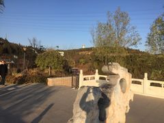 -五龙城郊森林公园