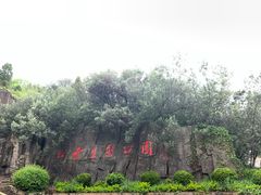 -长虫山生态公园风景林