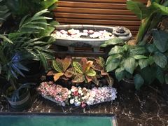 -SABAI THAI SPA泰式按摩体验馆(北城天街店)