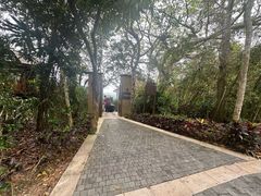 -三亚亚龙湾人间天堂鸟巢度假村