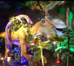 -恐龙探索乐园(磁器口店)