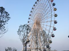 -琴岛之星摩天轮