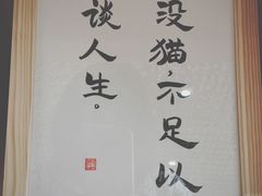 -瞄一喵猫咖(格力海岸店)