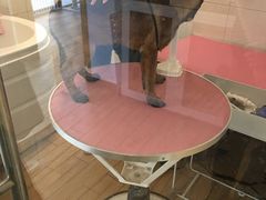 -Double Rui宠物酒店