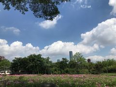 -厦门园林博览苑