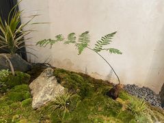 -Metal hands·铁手咖啡