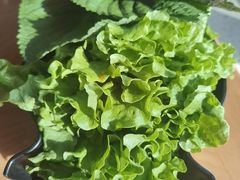 -炭之家烤肉(世茂店)