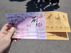 -自然谷恐龙园