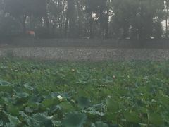 -意大利农场度假村