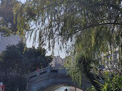 -荔湾湖公园