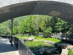 -白水寺森林公园