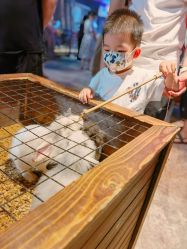 -酷嗒动物文化乐园(cutezoo西溪乐天城店)