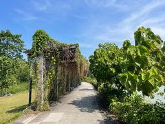 -广西壮族自治区药用植物园