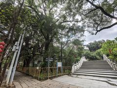 -小洲村