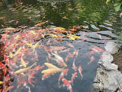 -顺德渔村·岭南一号