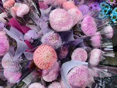 -越秀西湖花市(广州城市广场花卉店)