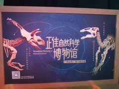 -正佳自然科学博物馆