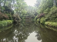 -南山植物园