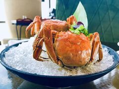 -大连君悦酒店·星海湾壹号Dalian·Dalian(星海广场店)