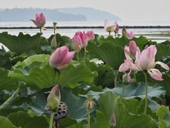 -苏州吴中太湖旅游区