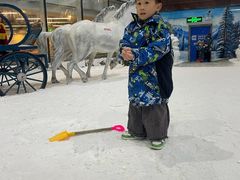-世界之窗阿尔卑斯冰雪世界