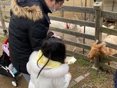 -前小桔亲子创意农场·草莓采摘·露营烧烤