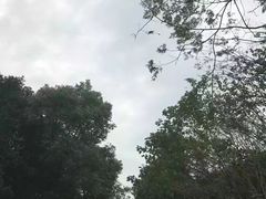 -艾溪湖湿地公园