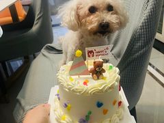 -昔木生日蛋糕(汉口店)