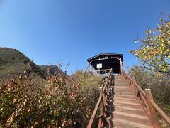 -大岭沟猕猴桃谷风景区