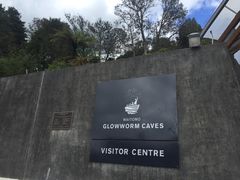 -怀托摩萤火虫洞