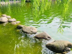-莲湖公园