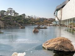 -罗红摄影艺术馆