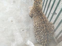 -鄂尔多斯野生动物园